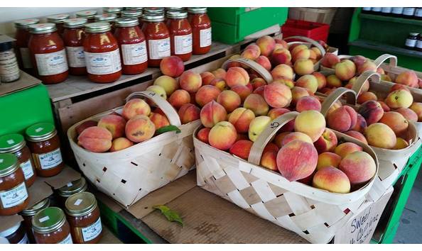 Big image 13606598 10208809379564664 2798365763931256107 n 1 