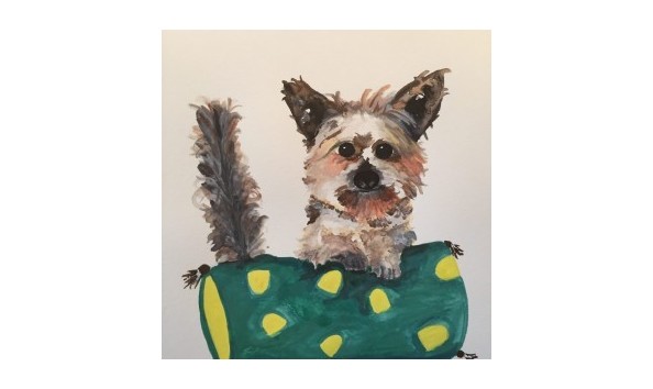 Big image img 3062 e1532545199107 wpcf 300x300