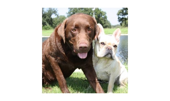 Big image kleinheinz077 wpcf 300x300