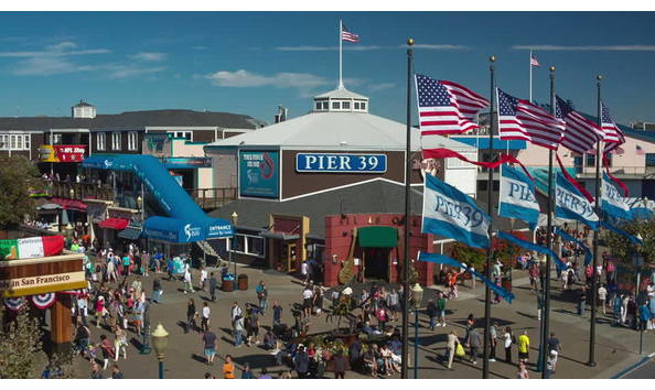 Big image 330719195 pier 39 national color visiting looking around sightseeing