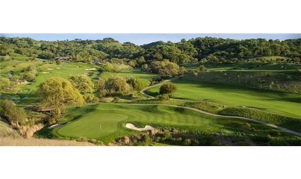 Big image birdiesforbagby