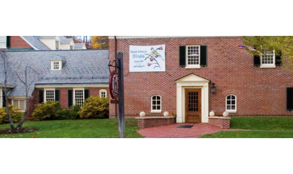 Big image screen shot 2019 02 07 at 11.58.52 am