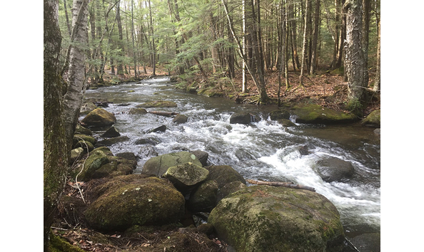 Big image mini magick20190207 7869 12i0ci8