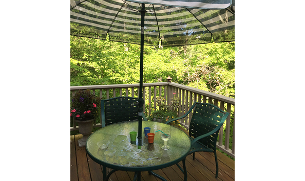 Big image mini magick20190207 7869 1xf9idy