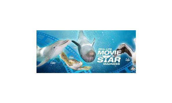 Big image mini magick20190209 123463 clqx4q