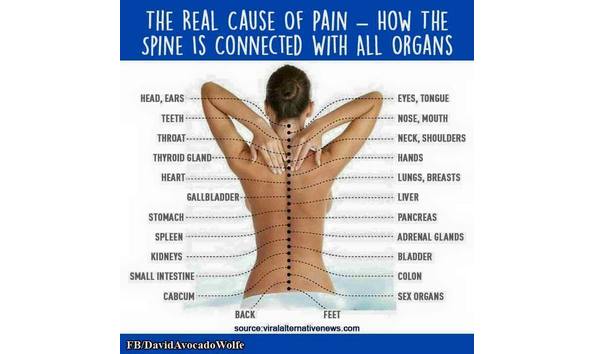 Big image mini magick20190209 123463 132408m