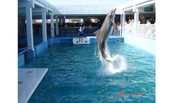 Big image mini magick20190209 123463 3eifhe