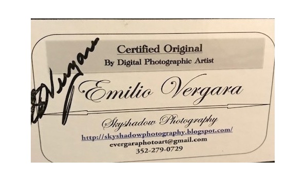 Big image skyshadow 2019 signed