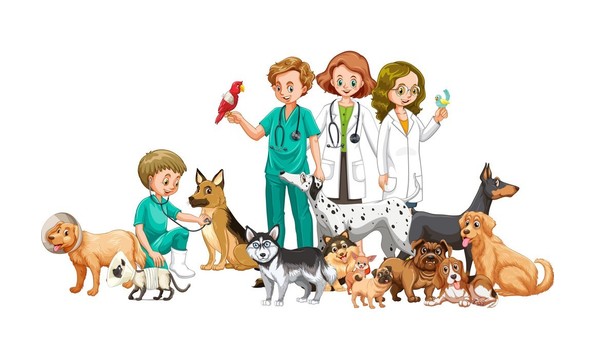 Big image westside animal 3