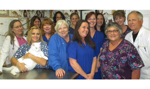 Big image mini magick20190212 120498 79wyzc