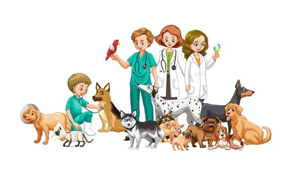 Big image mini magick20190212 120498 1a9mb2h