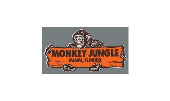 Big image monkey jungle