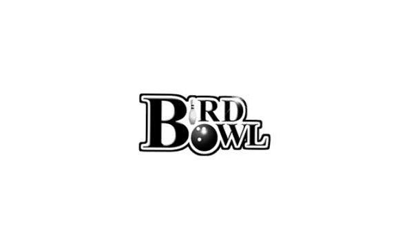 Big image bird bowl