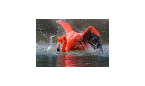 Big image mini magick20190212 120498 lz9ao4