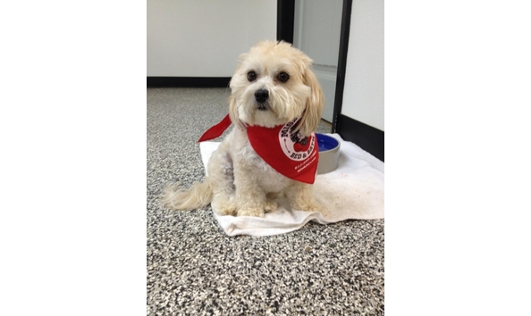 Big image mini magick20160930 32138 1vjjglj