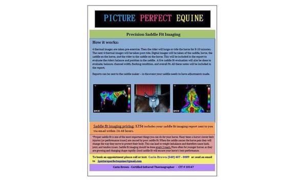 Big image pictureperfectsaddle