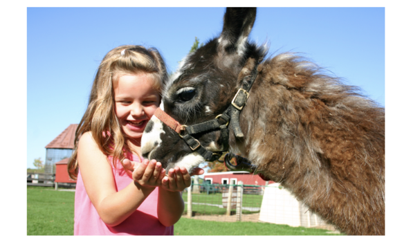 Big image screen shot 2019 02 13 at 10.39.19 am