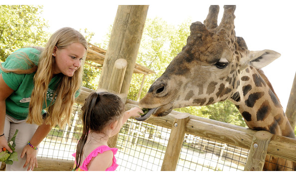 Big image zoo knoxville 2