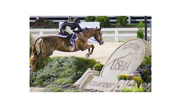 Big image ushja hunter derby