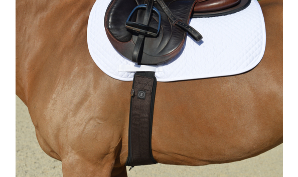 Big image essentialgirthlifestyle