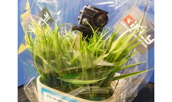 Big image 08 ifly basket