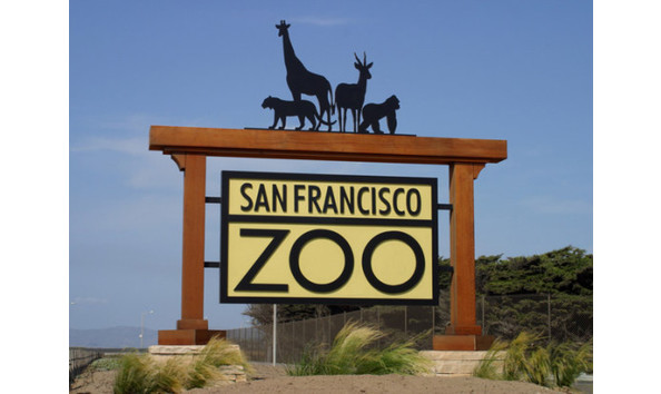 Big image sfzoo1