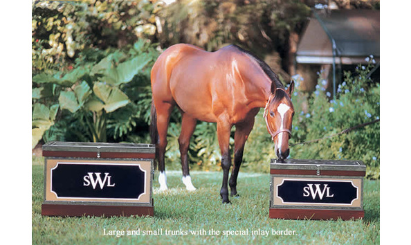 Big image mcguinntrunks