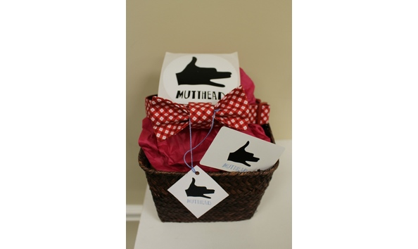 Big image img 0347edited