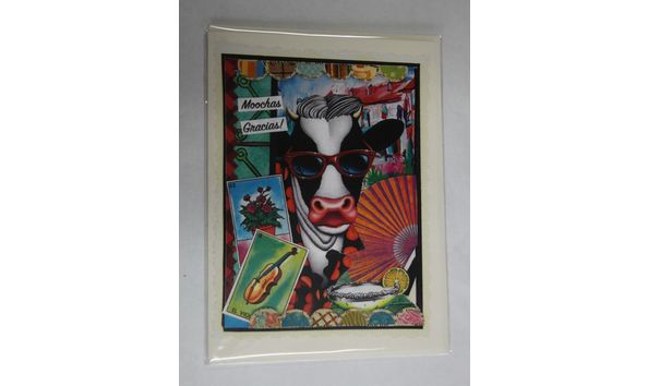 Big image tn img 1516