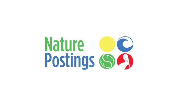 Big image nature postings