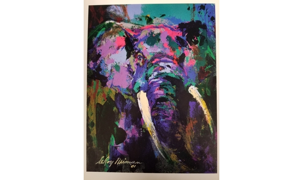 Big image mini magick20190216 109585 1rwzc7n