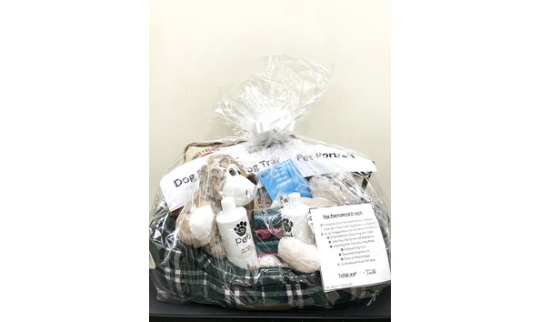 Big image 15 pampered pooch