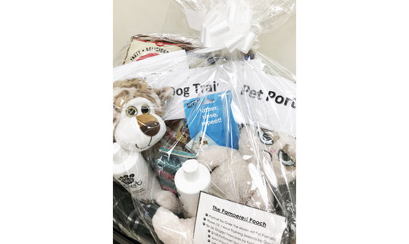 Big image 15 pampered pooch 2