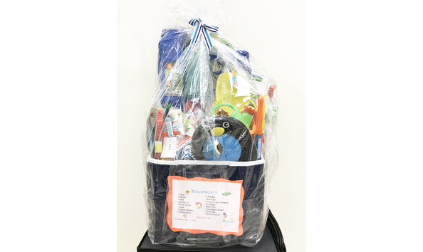 Big image 22  beach basket