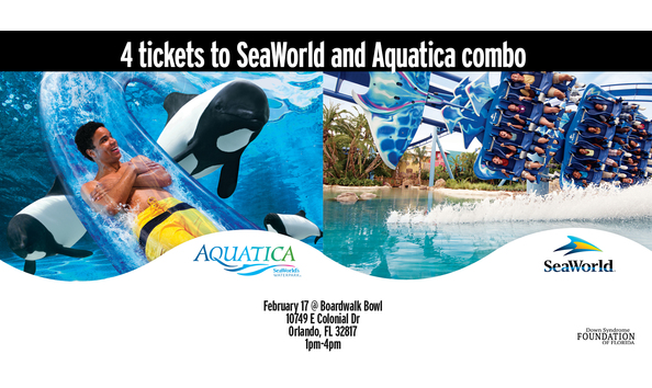Big image seaworld and aquatica