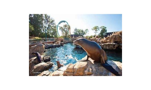Big image seaworld seal