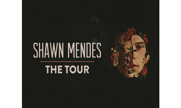 Big image shawn mendes