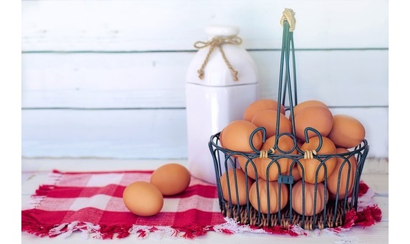 Big image brown eggs 3217675 640