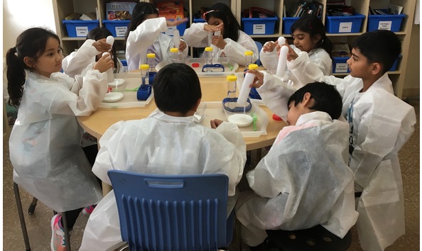 Big image img 7681  1 