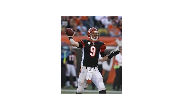 Big image carsonpalmer
