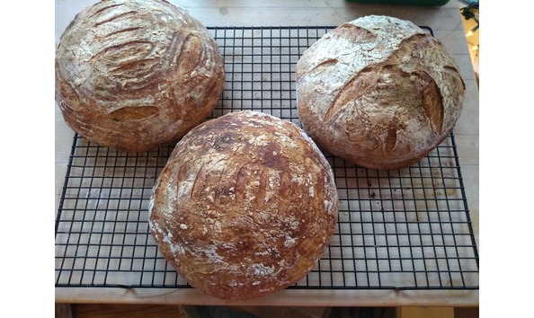 Big image 52602839 2563230957236700 5527139885044989952 n