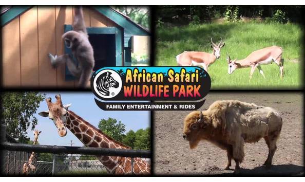 Big image big image maxresdefault