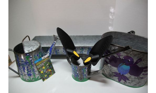 Big image tn img 1772