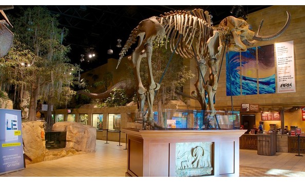 Big image creation museum 54648 1 