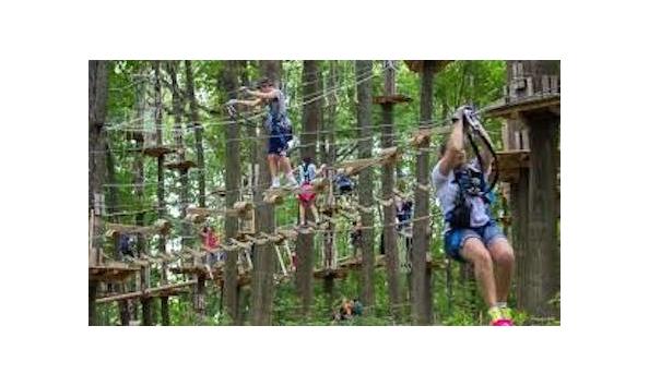 Big image treerunnerpic