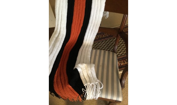 Big image 11 bengalsafghan