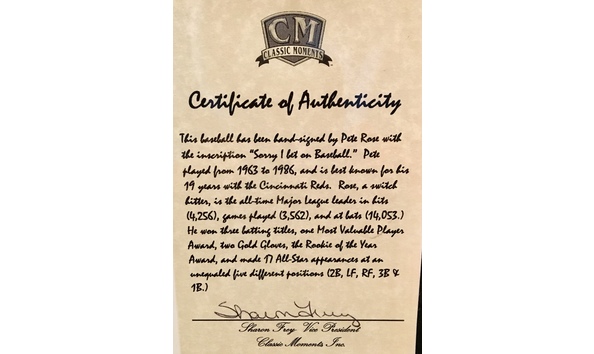 Big image 29 authenticitypeterose