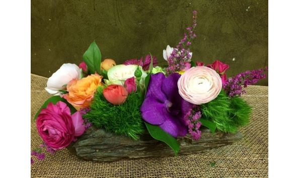 Big image mini magick20190221 49708 1hqg9gy