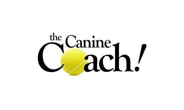 Big image mini magick20190221 49708 oa5wp2