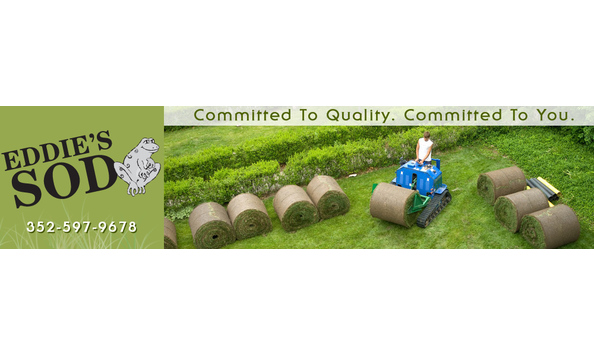 Big image mini magick20190222 49708 1msfp5j